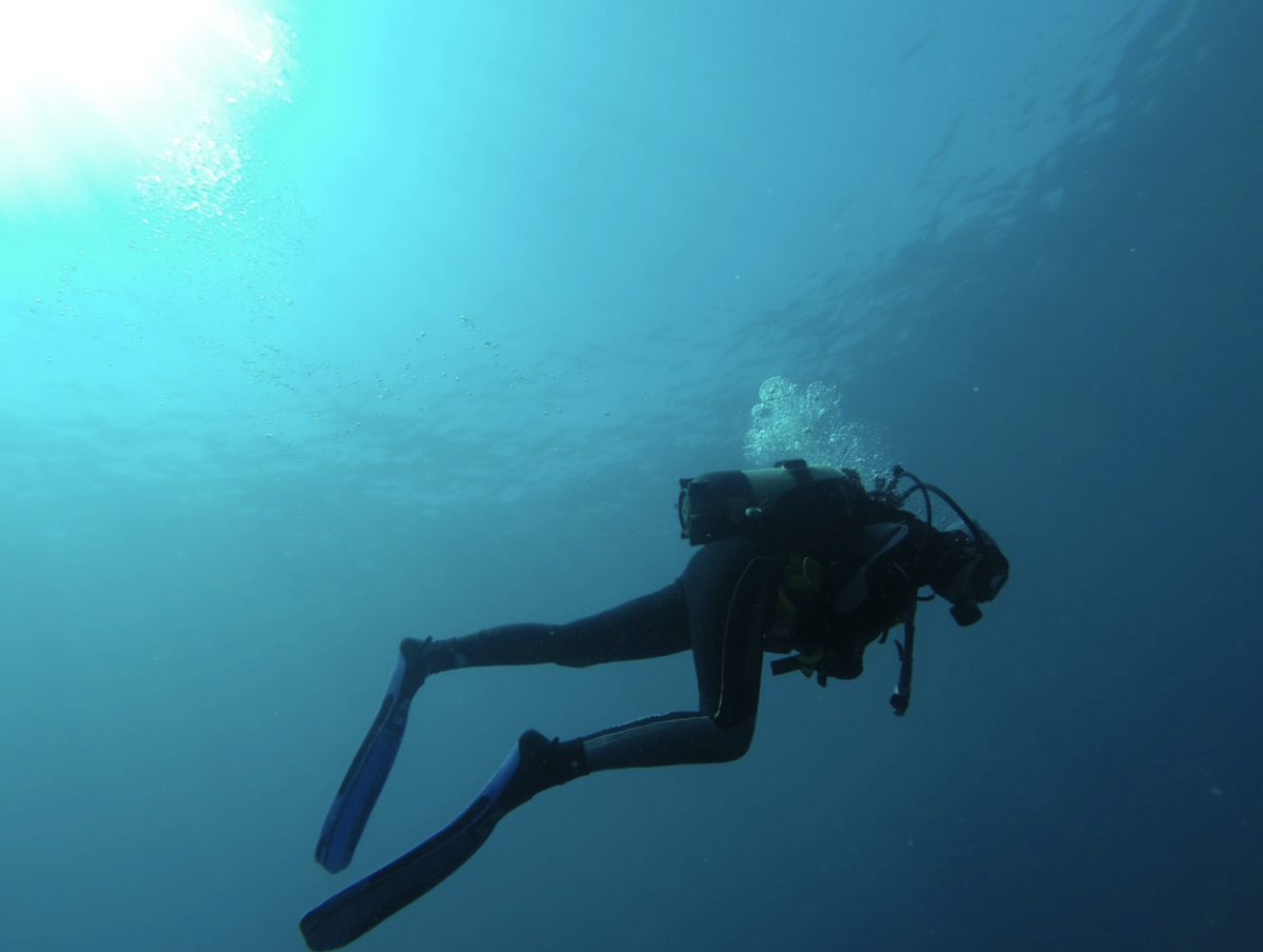 Scuba diving and skydiving