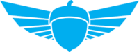blue acorn with wings logo